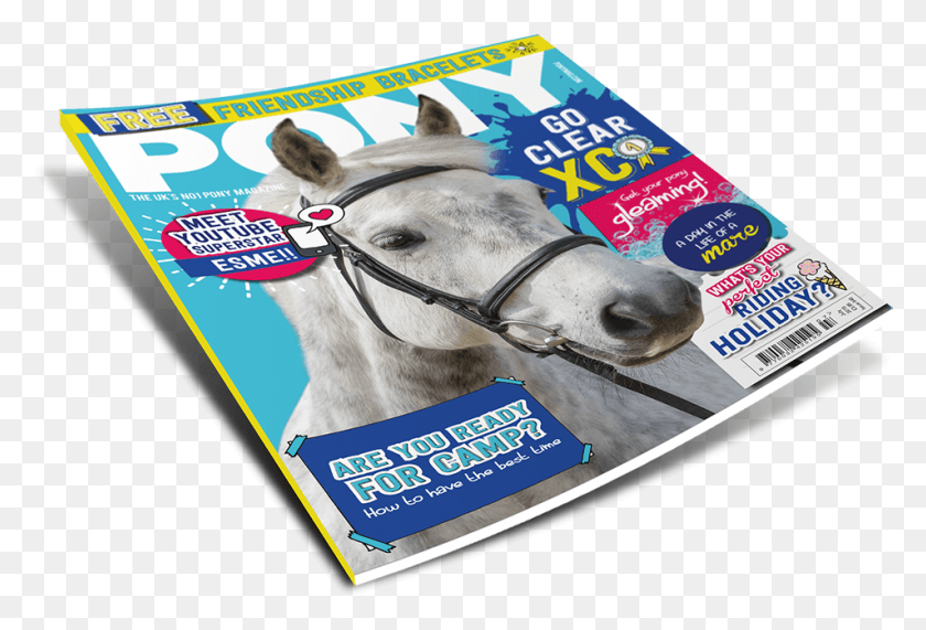 953x625 July Pony Magazine Front Cover Stallion, Poster, Advertisement, Flyer HD PNG Download