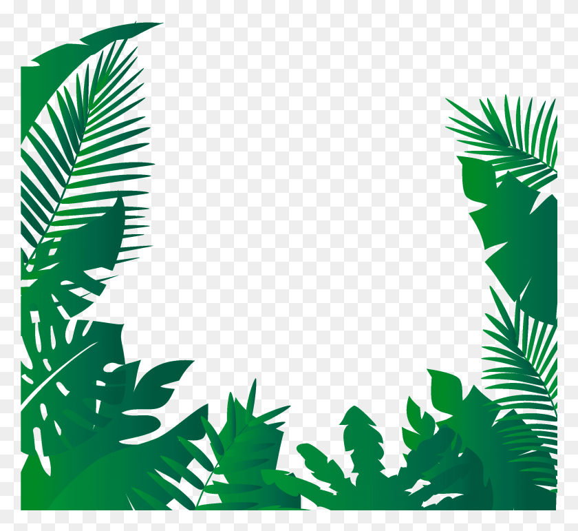 2401x2190 Jungle Background, Green, Plant, Vegetation HD PNG Download