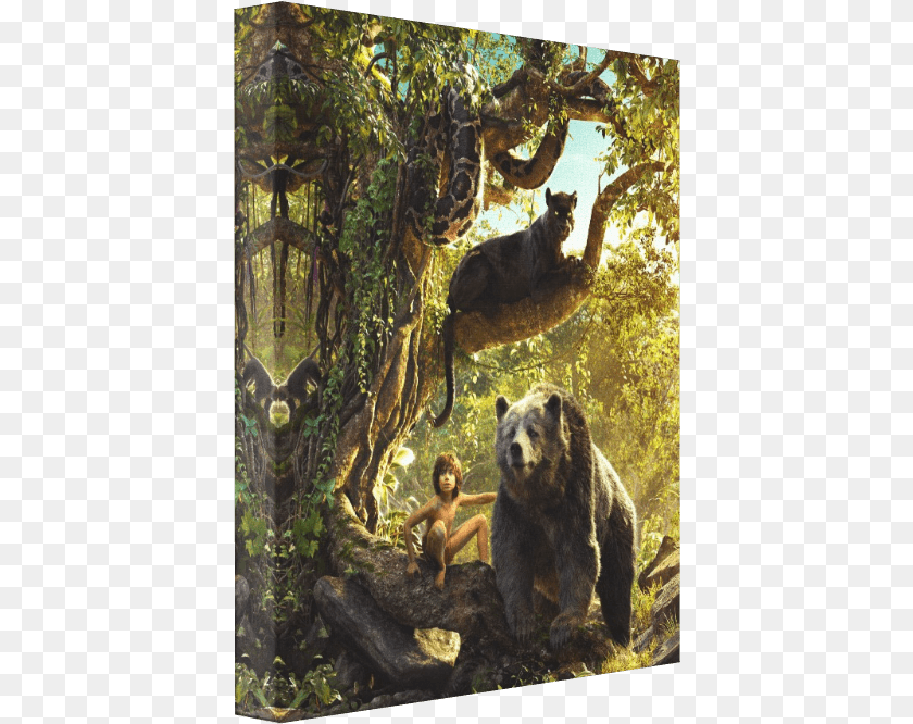 Jungle Book Canvas Jungle Book 2016 Square, Outdoors, Animal, Bear, Wildlife Clipart PNG