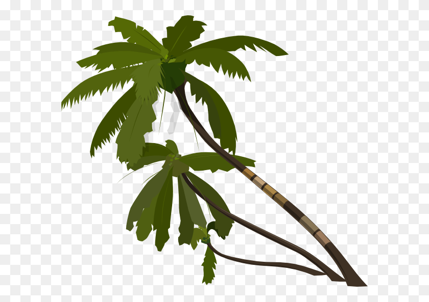 600x533 Jungle Trees Vector, Plant, Leaf, Tree HD PNG Download