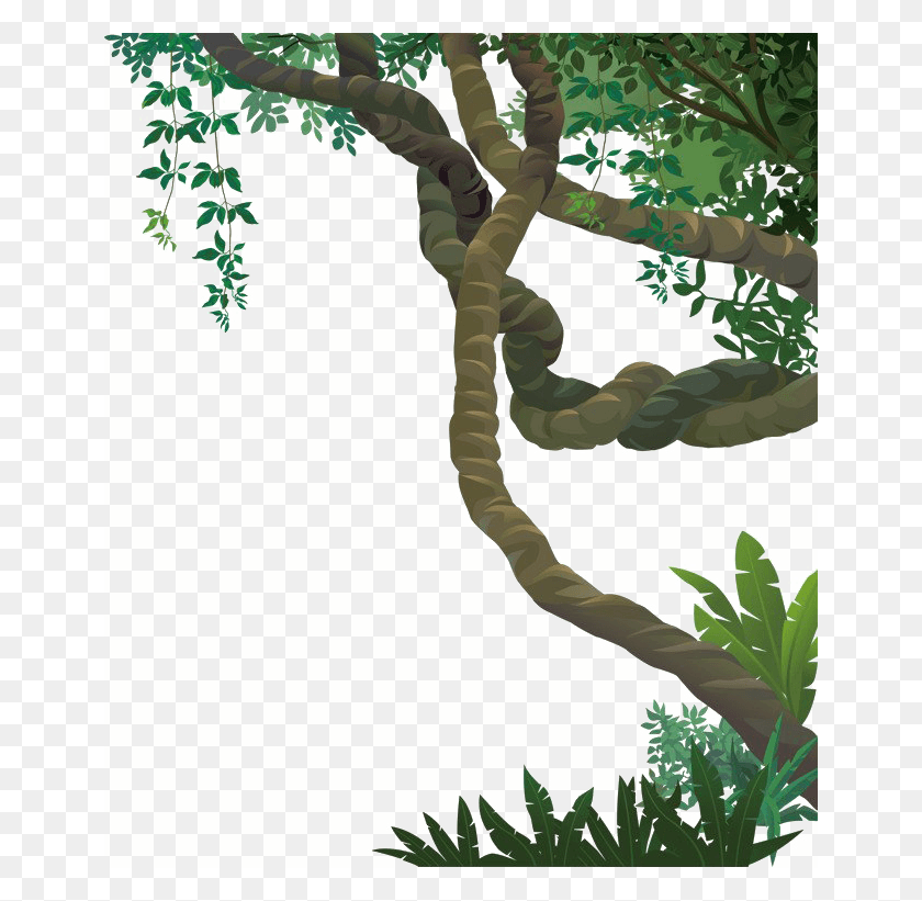 650x761 Descargar Png Jungle Vines File Forest Vines, Vegetación, Planta, Árbol Hd Png