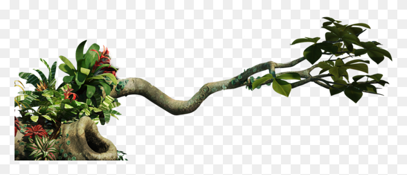 1024x397 Jungle Vines Jungle, Animal, Reptil, Serpiente Hd Png