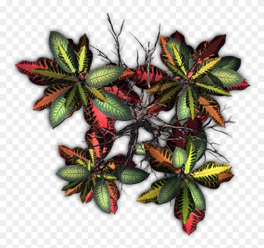821x769 Jungletree B Bud, Ornament, Pattern, Fractal HD PNG Download