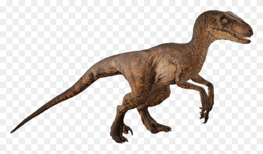 976x540 Jurassic Park Jurassic Park Raptor, Dinosaur, Reptile, Animal HD PNG Download