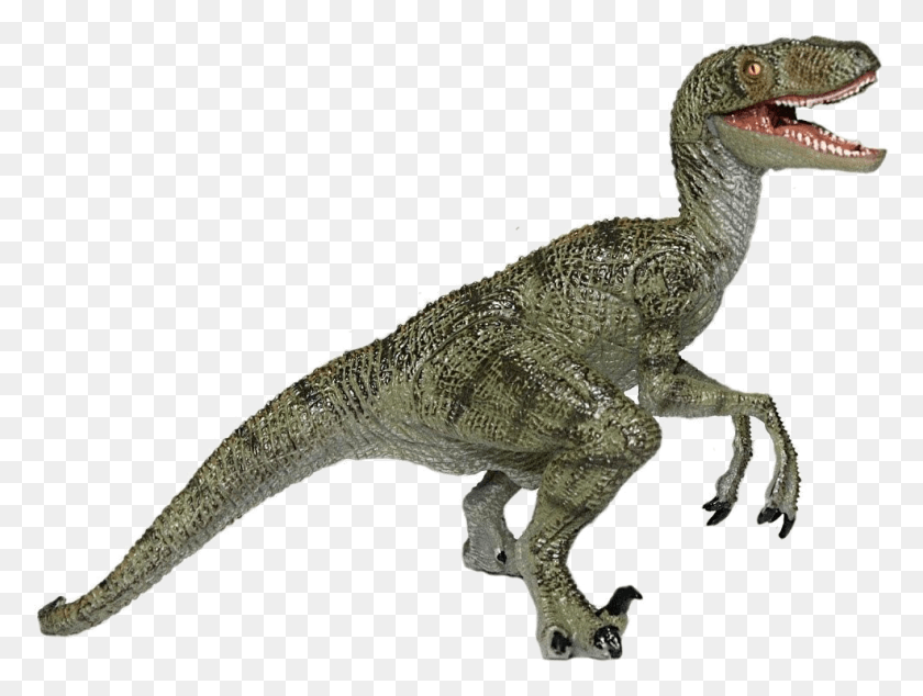 985x725 Jurassic Park Playfield Velociraptor Velociraptor Jurassic Park, Lizard, Reptile, Animal HD PNG Download