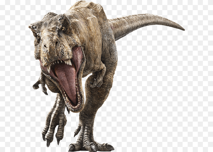 619x600 Jurassic Park T Rex, Animal, Dinosaur, Reptile, T-rex Sticker PNG