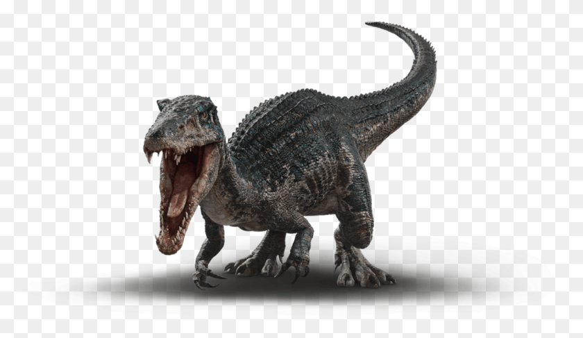 1065x584 Jurassic Park Wiki Jurassic World El Reino Caído Baryonyx, T-Rex, Dinosaurio, Reptil Hd Png