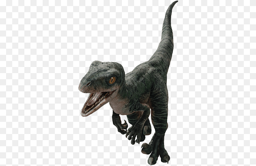 Jurassic World Baby Delta, Animal, Dinosaur, Reptile, T-rex Clipart PNG