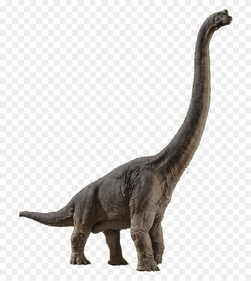 717x881 Jurassic World Espinosaurio Jurassic World Evolution, Dinosaurio, Reptil, Animal Hd Png
