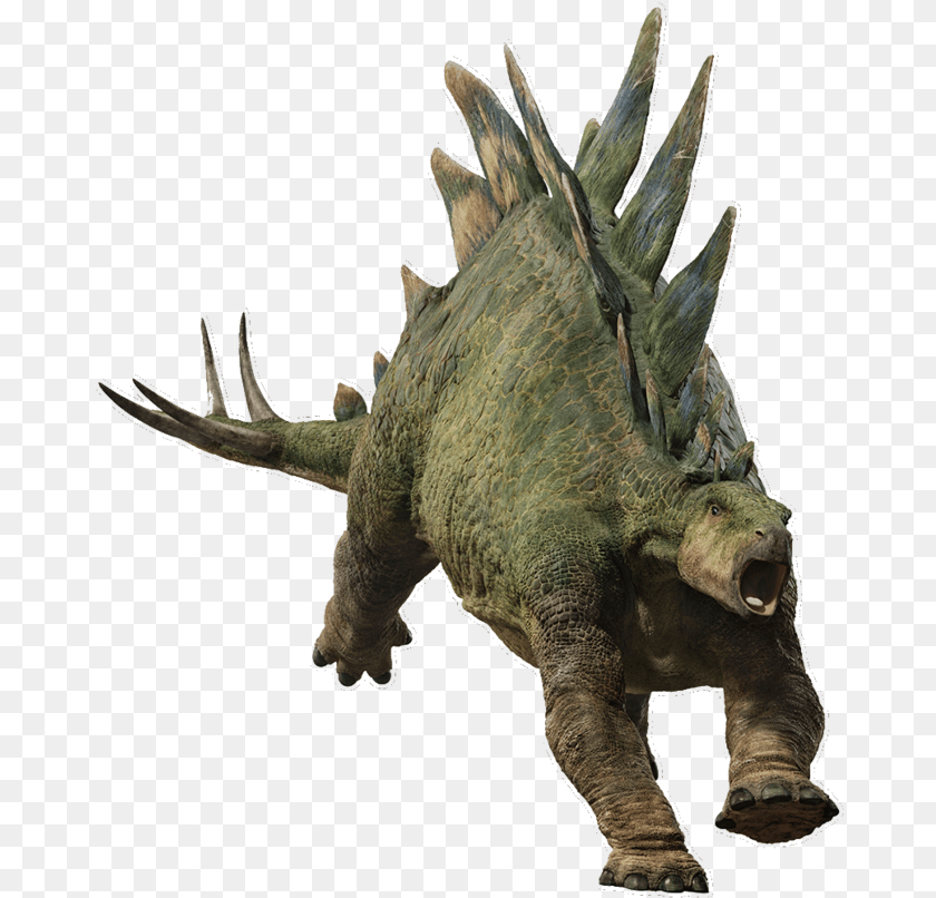 675x806 Jurassic World Fallen Kingdom Stegosaurus V2 By Sonichedgehog2 Dcdo746 Stegosaurus Jurassic World Fallen Kingdom, Animal, Dinosaur, Reptile Transparent PNG