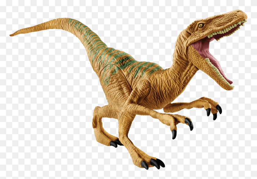 1427x965 Jurassic World Raptor Echo Velociraptor Jurassic World Echo, Dinosaur, Reptile, Animal HD PNG Download