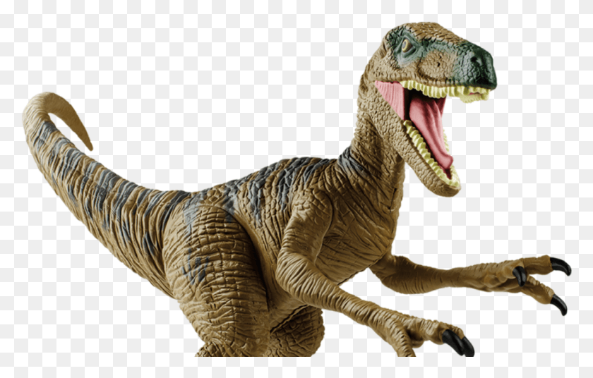 1006x615 Jurassic World Raptor Figure, Dinosaur, Reptile, Animal HD PNG Download