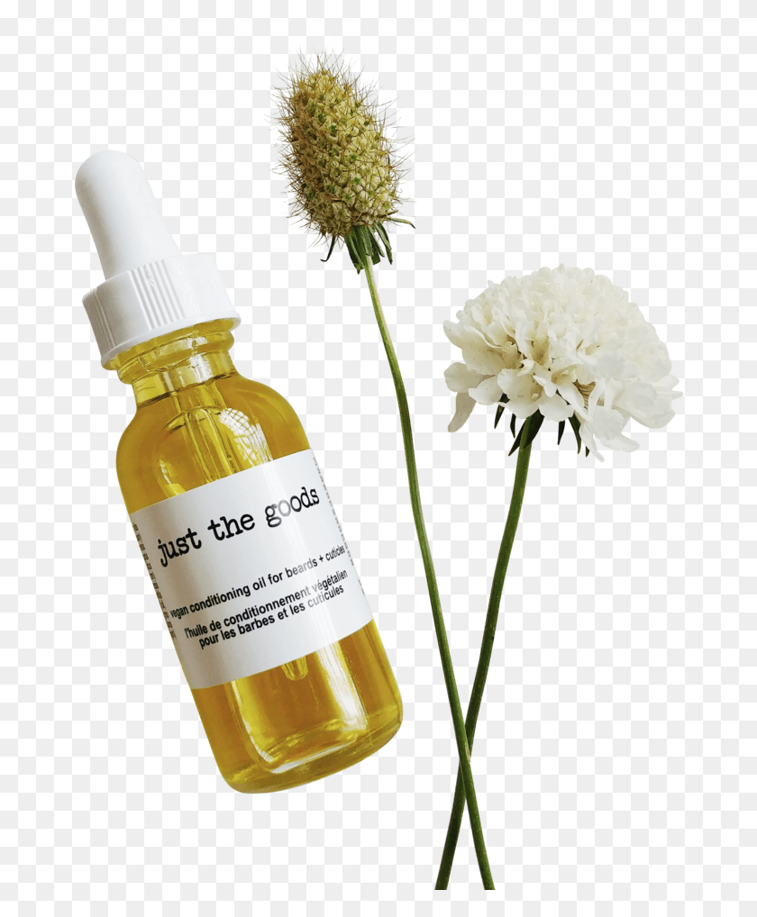 678x958 Just The Goods Vegan Conditioning Oil For Beards Cuticles Dandelion, Plant, Bottle, Flower HD PNG Download