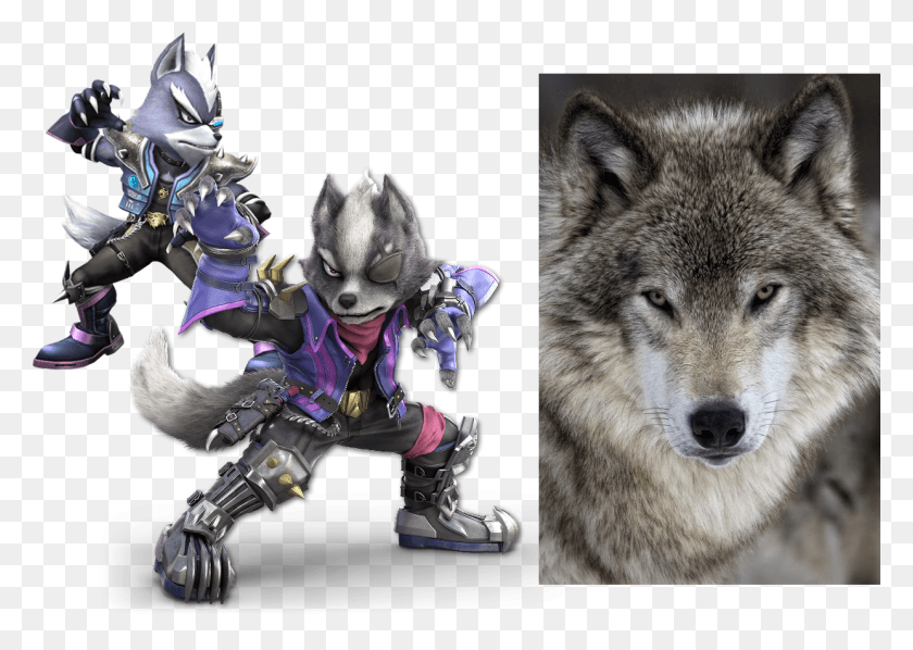 1241x857 Just Want To Real Quick Speak On How Much Better Wolf39s Wolf Smash Bros Ultimate, Mammal, Animal, Dog HD PNG Download