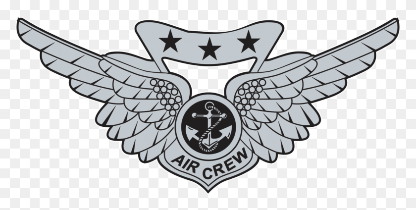 1100x514 Just Wings Marine Corps Combat Wings, Symbol, Emblem, Logo HD PNG Download
