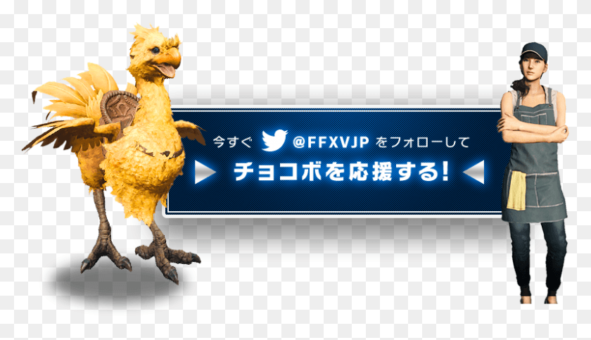 799x434 Kabegami 01 Kakidasi Kabegami 01 Kakidasi Ffxv Btn Follow2 Final Fantasy Xv Chocobo Icon, Chicken, Poultry, Fowl HD PNG Download