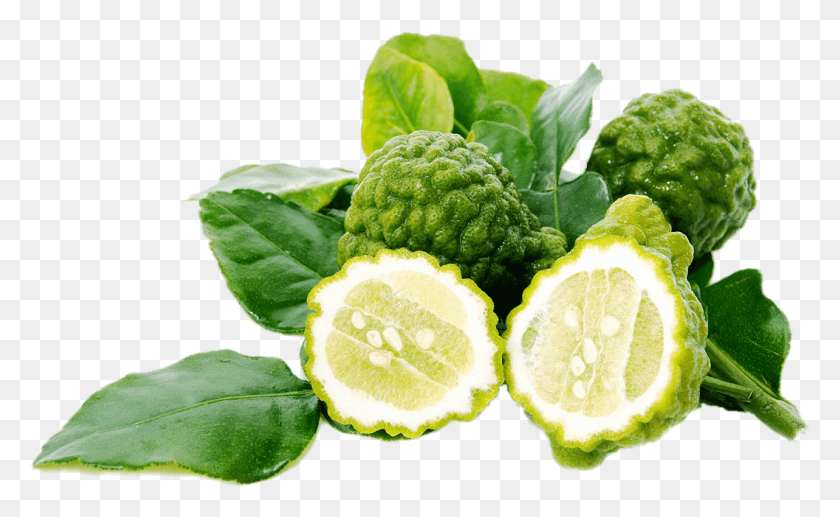 1056x620 Kaffir Lime Kaffir Lime Leaves, Citrus Fruit, Fruit, Plant HD PNG Download