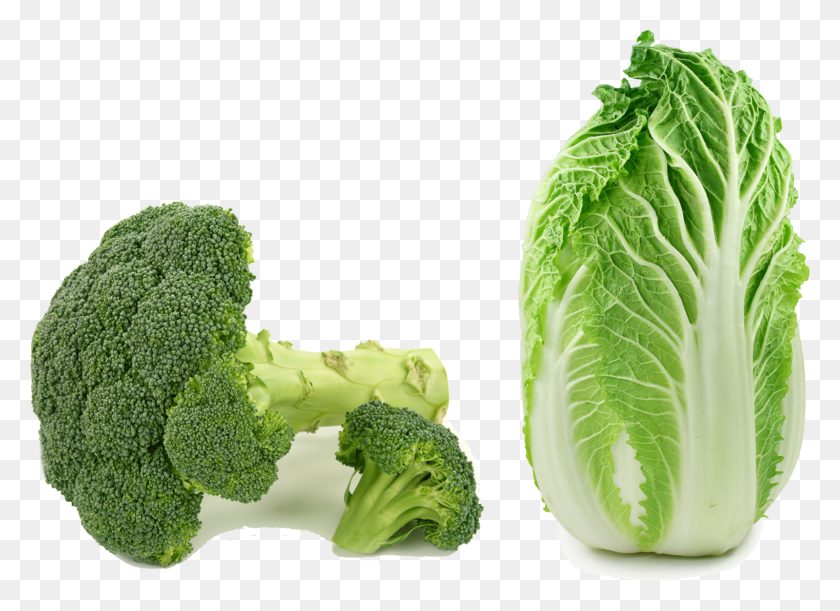 1598x1129 Kale And Cabbage Difference, Plant, Vegetable, Food HD PNG Download