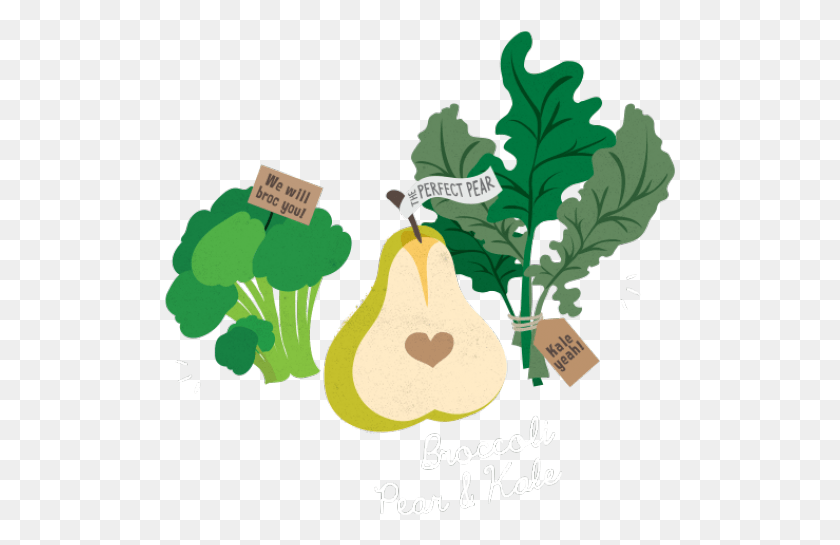 511x485 Kale Clipart Singapore Illustration, Plant, Food, Pear HD PNG Download