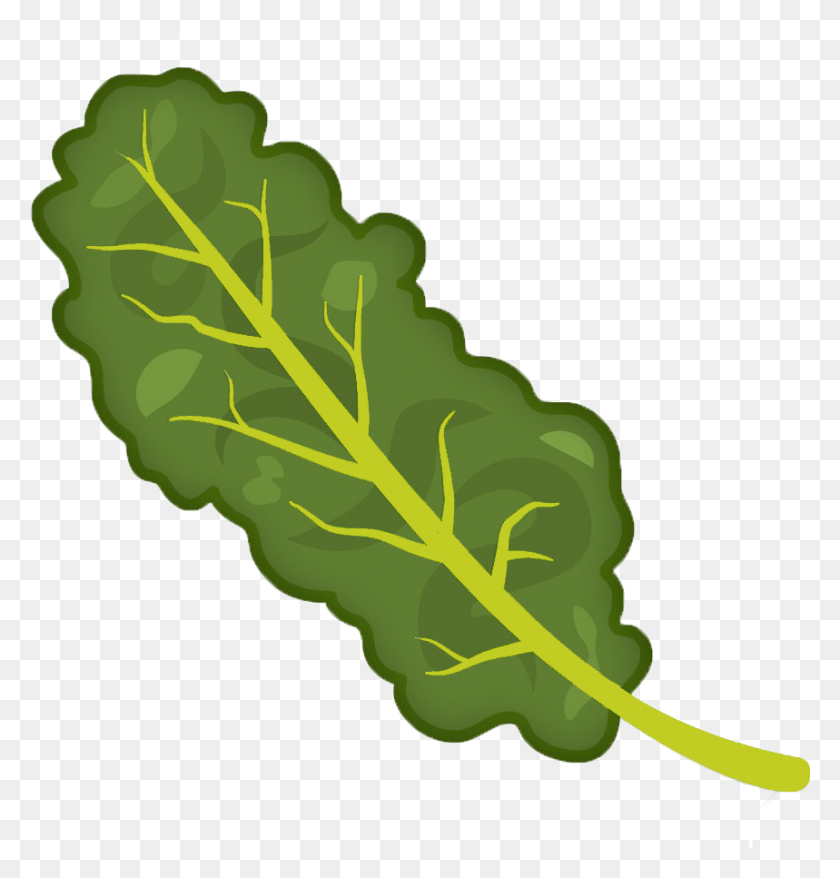 859x901 Kale Clipart Transparent Cartoon Pictures Of Kale, Plant, Vegetable, Food HD PNG Download