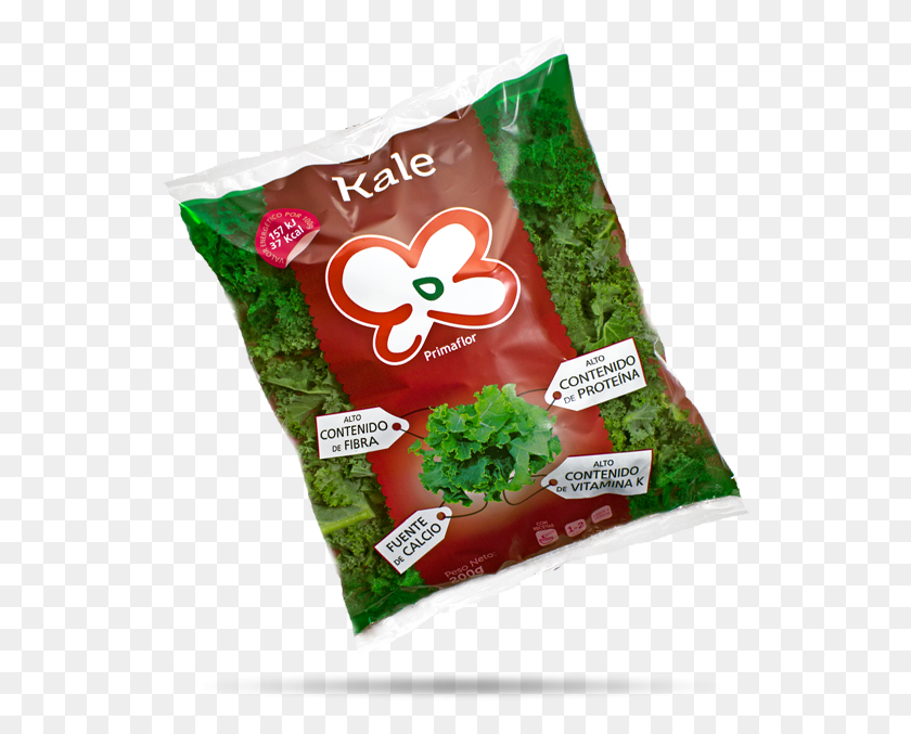 542x617 Kale Con Sombra Previous Snack, Plant, Food, Lettuce HD PNG Download