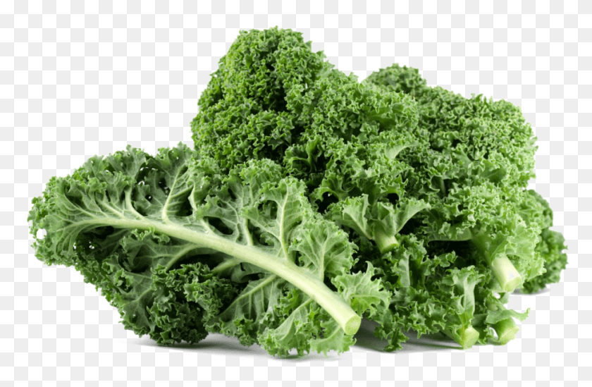 918x576 Kale File For Designing Project Kale Leaves, Cabbage, Vegetable, Plant HD PNG Download