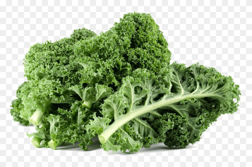 983x627 Kale Free Kale, Cabbage, Vegetable, Plant HD PNG Download