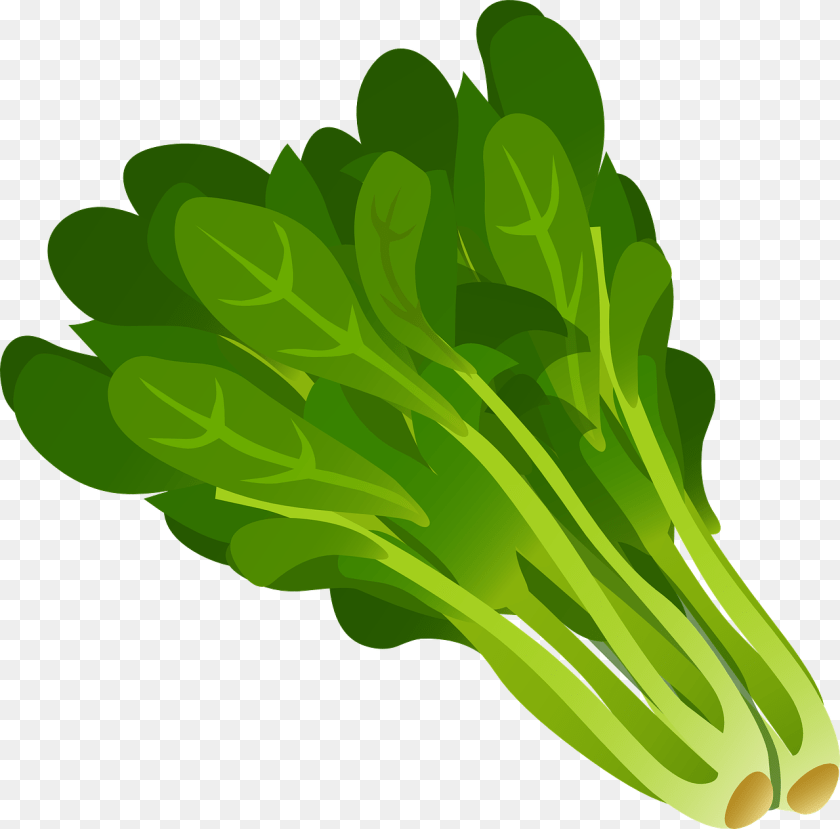 1280x1263 Kale World Betapage, Food, Plant, Produce, Leafy Green Vegetable Clipart PNG