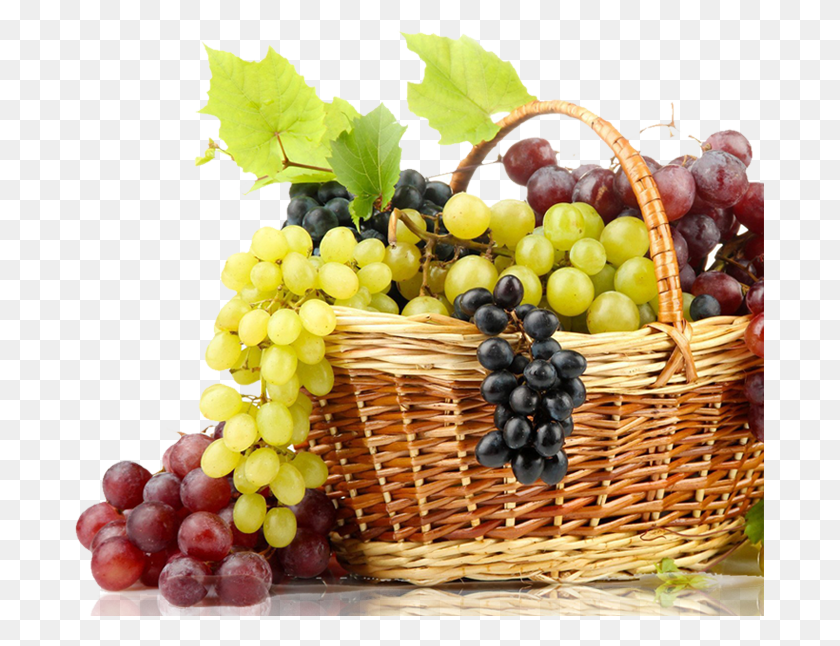 689x586 Kalya Exports Grape, Plant, Grapes, Fruit Hd Png Скачать