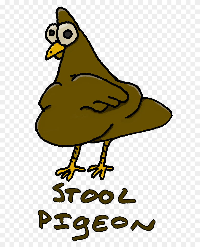 732x1040 Kamel Djellal On Twitter, Animal, Beak, Bird, Chicken PNG