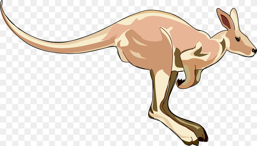 1280x727 Kangaroo Clip Art, Animal, Mammal, Antelope, Wildlife Clipart PNG