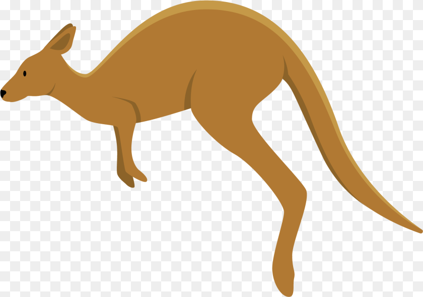 1641x1155 Kangaroo Clipart Background, Animal, Mammal, Fish, Sea Life Transparent PNG