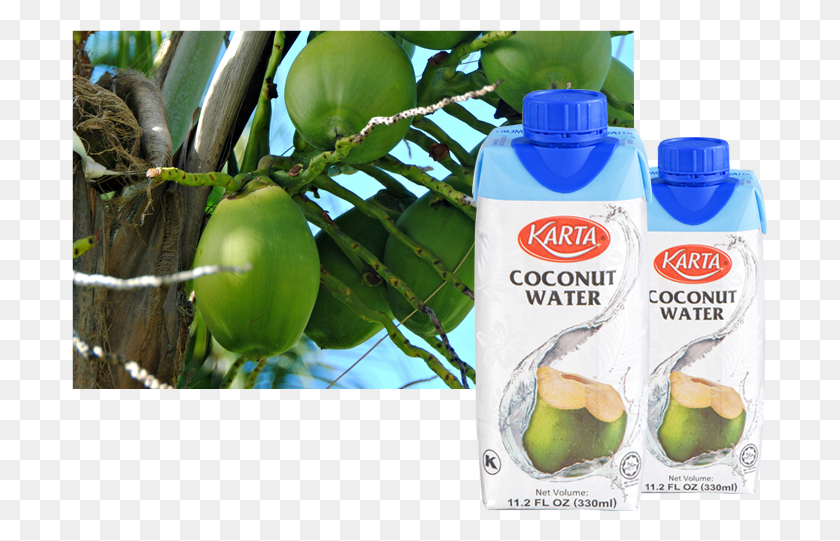 695x481 Kara Marketing Sdn Bhd Was Founded In Year Plastic Bottle, Plant, Nut, Vegetable HD PNG Download