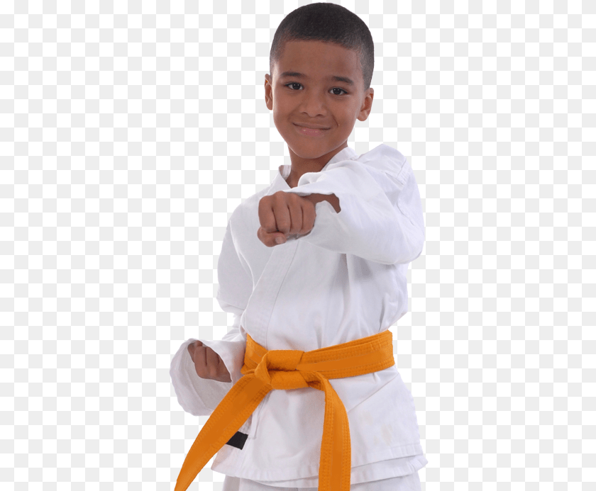 367x693 Karate, Sport, Person, Martial Arts, Male Clipart PNG