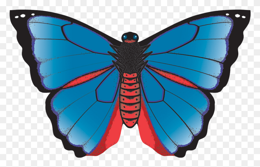 1053x652 Karner Blue Butterfly Kite Kite, Invertebrado, Animal, Insecto Hd Png