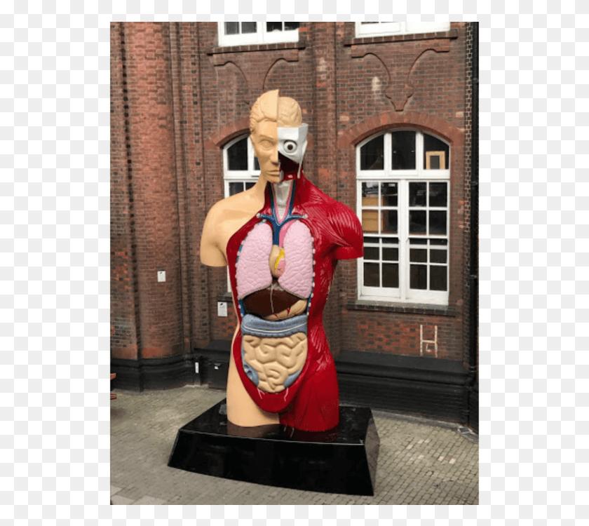533x690 Kathakali Statue Carving, Torso, Costume, Mannequin HD PNG Download