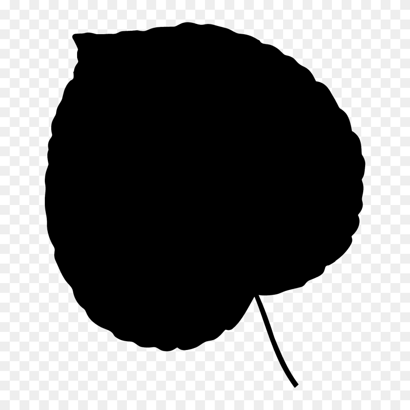 Katsura Tree Leaf Silhouette, Plant, Clothing, Hat, Food Sticker PNG