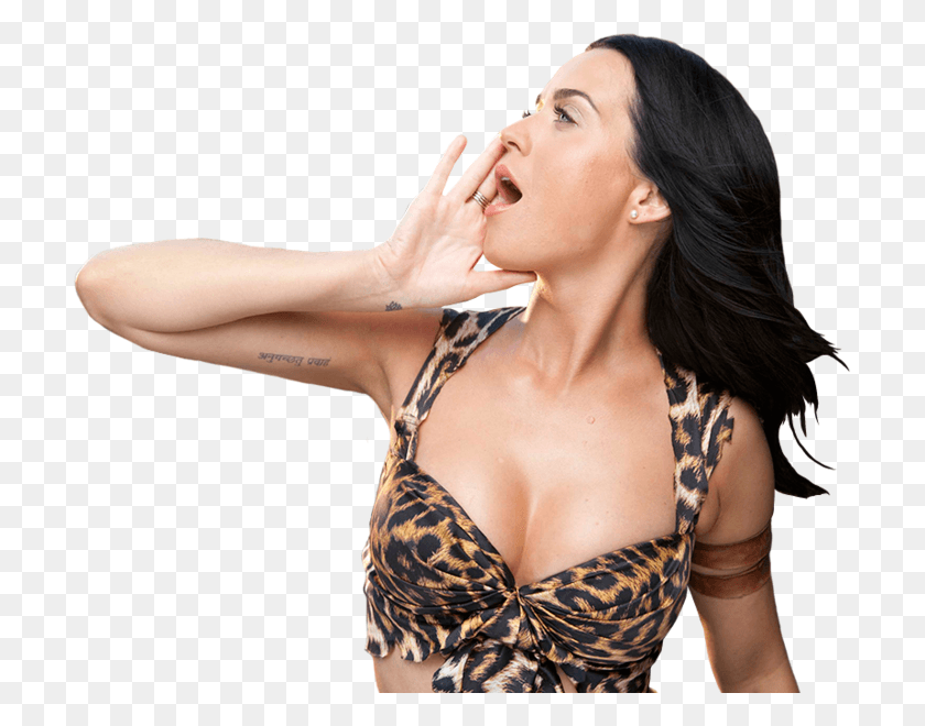 705x600 Katy Perry Roar Katy Perry Roar, Clothing, Person, Female HD PNG Download