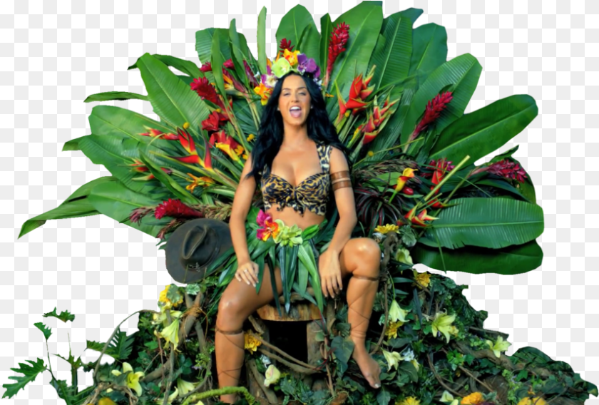 Katy Perry Roar Katy Perry Roar, Adult, Person, Woman, Female PNG