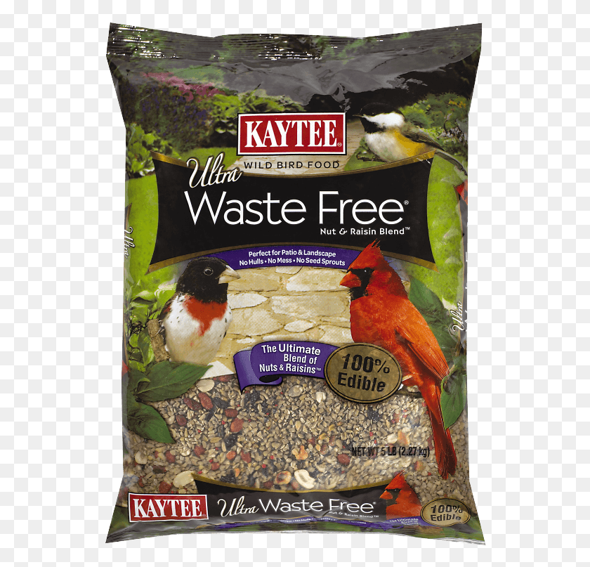 544x747 Kaytee Waste Free Nut And Raisin Blend Canary, Bird, Animal, Advertisement HD PNG Download