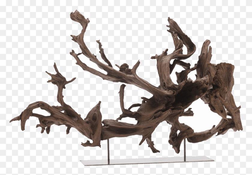 981x660 Kazu Natural Tree Root Sculpture Sculpture Wood Branch, Antler, Bird, Animal HD PNG Download