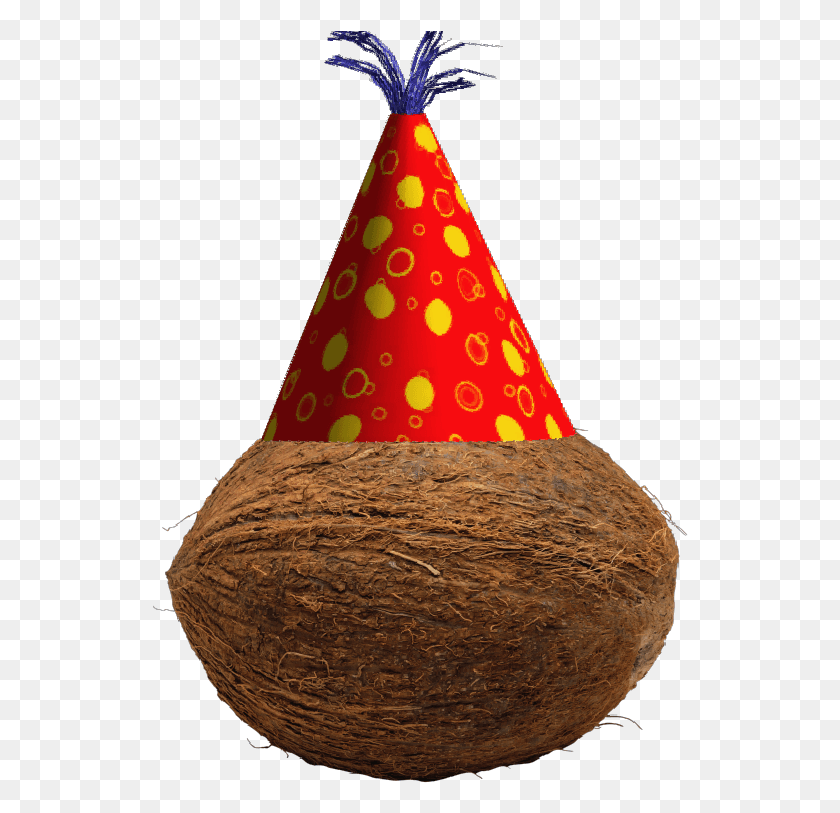 537x753 Kb 660x780 Cocunut Party Hat, Clothing, Apparel, Hat HD PNG Download