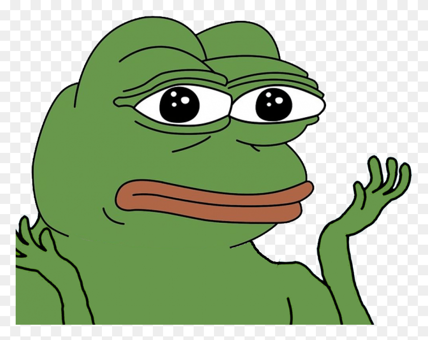 1005x783 Kb Daily Stormer Pepe Frog, Animal, Green HD PNG Download