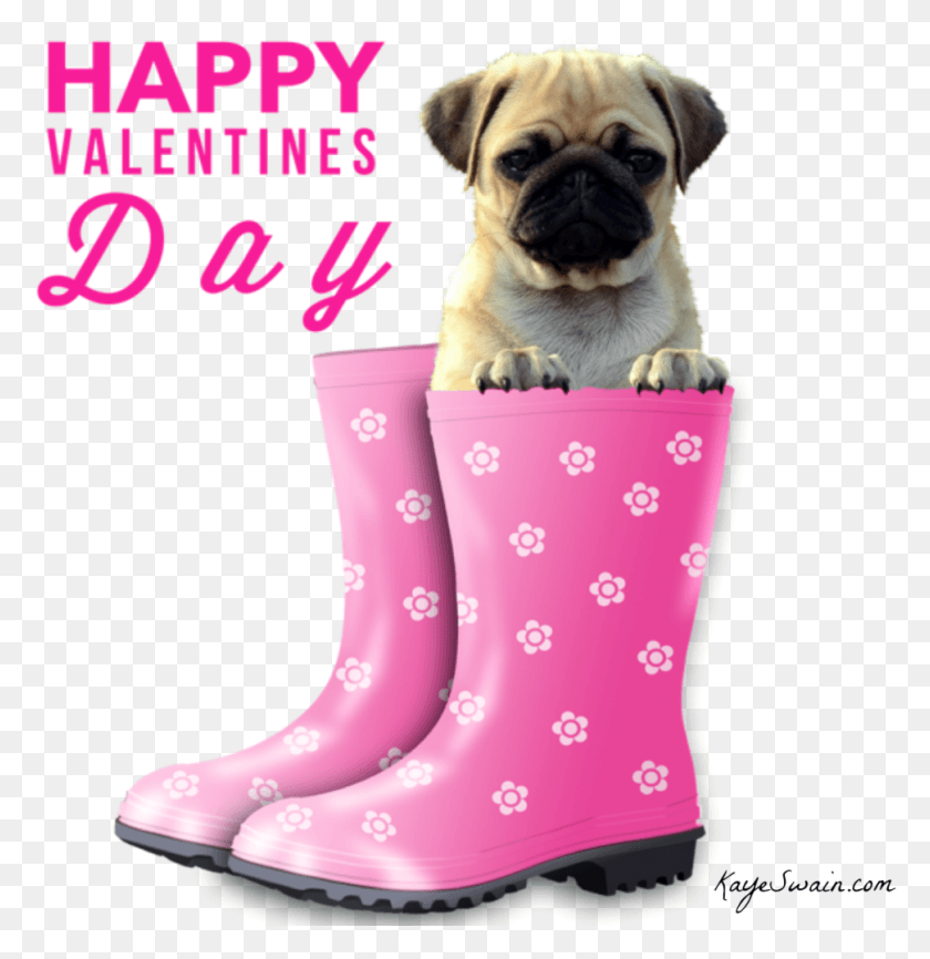 971x1004 Kbytes Photo Happy Valentines Day With Dogs, Pet, Animal, Mammal HD PNG Download