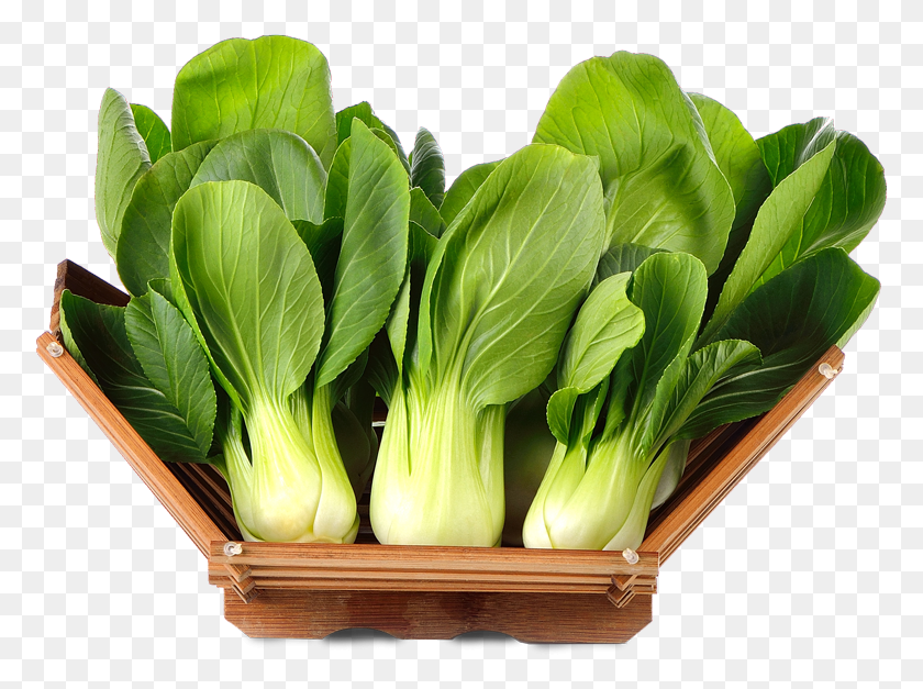 777x567 Keep Bok Choy Unwashed Until Ready To Use Spring Greens, Plant, Vegetable, Food HD PNG Download