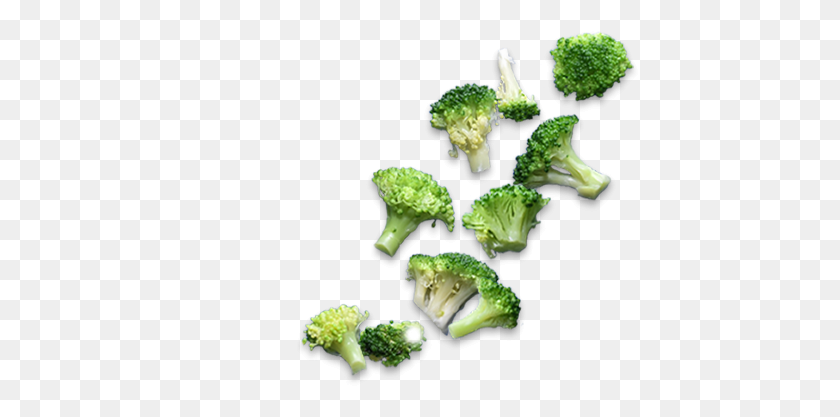437x357 Keep Tabs On Your Toppings Broccoli, Plant, Vegetable, Food HD PNG Download