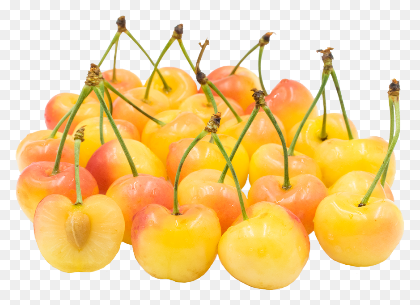 872x616 Keep Up With Us Yellow Cherry, Plant, Fruit, Food HD PNG Download