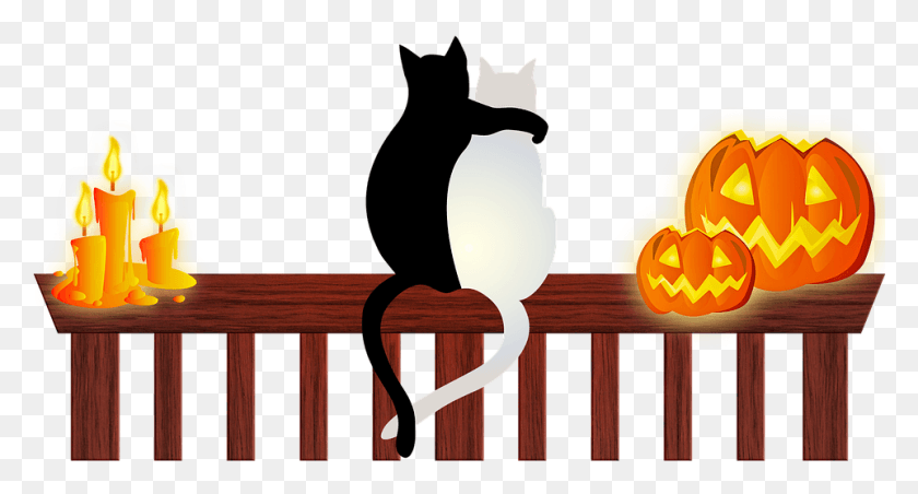 961x484 Keep Your Cat Safe This Halloween Halloween Cats, Wood, Railing, Fence HD PNG Download