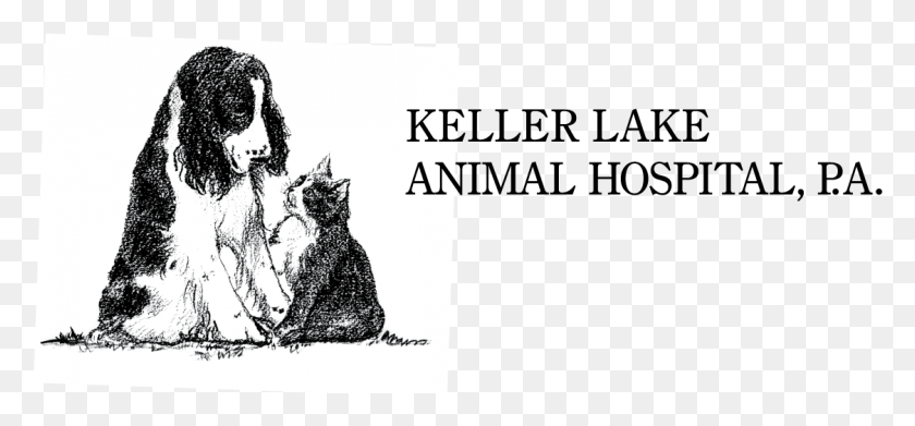 1124x477 Keller Lake Animal Hospital Logo Animal Haven, Person, Human, Book HD PNG Download