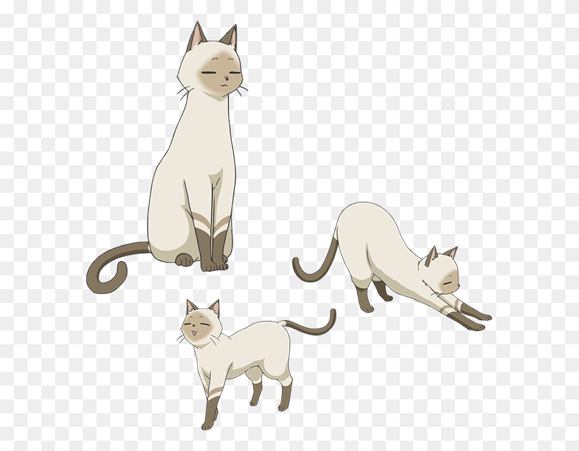 589x595 Kenny A White Cat Who Is Akane39s Familiar Flying Witch Anime Cat, Mammal, Animal, Wildlife HD PNG Download